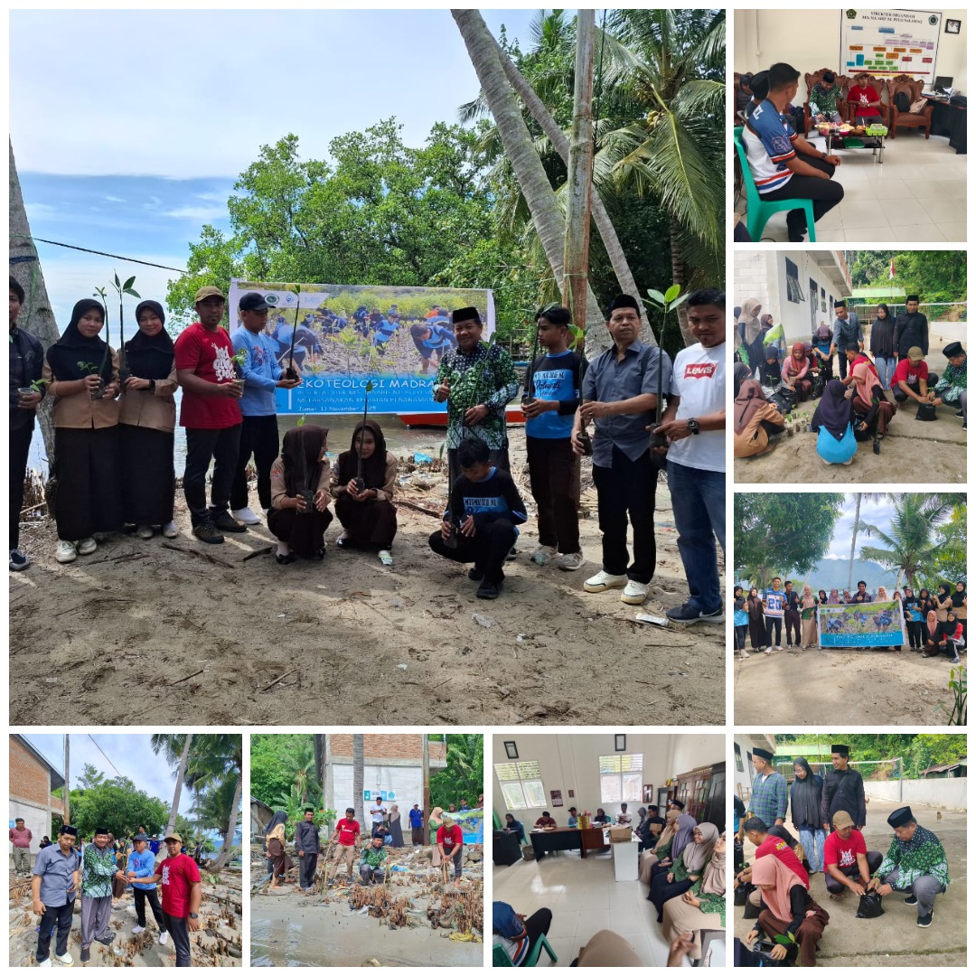 WhatsApp Image 2025-11-14 at 21.23.36